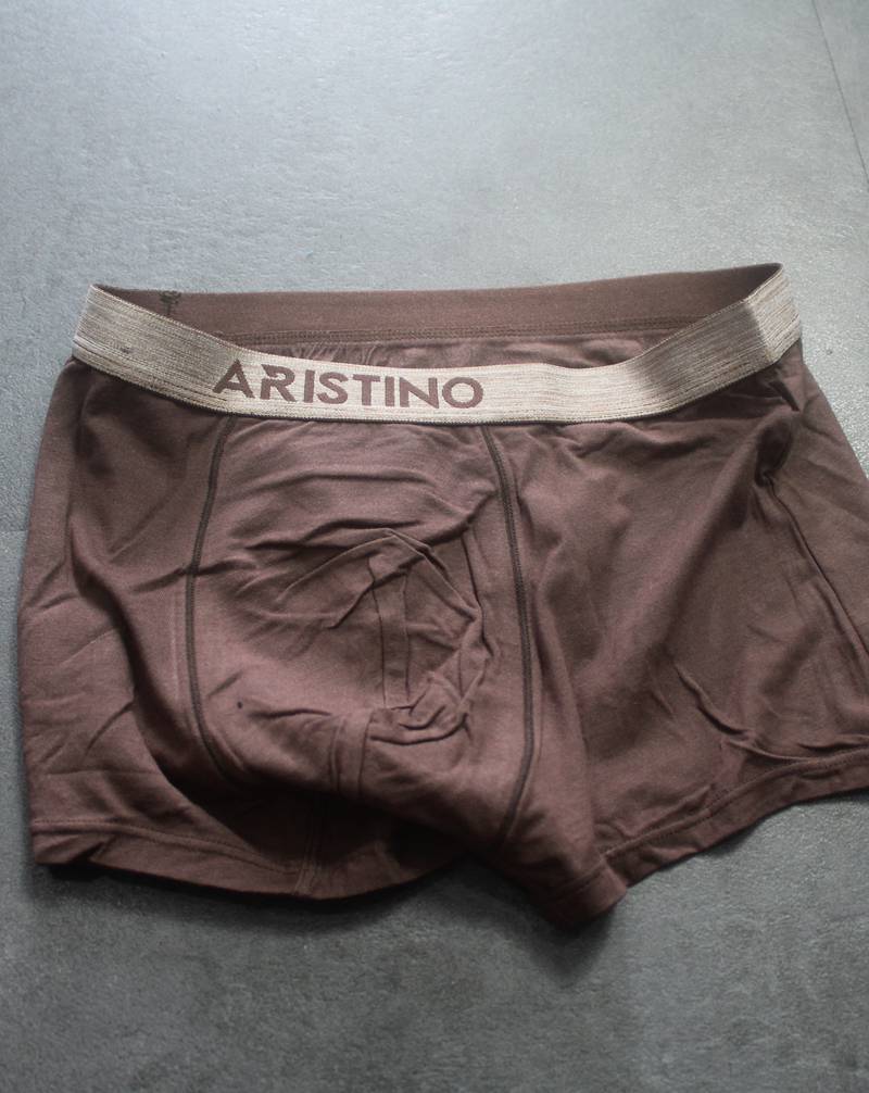 Quần lót nam boxer Aristino ABX16-16 - Ảnh 5